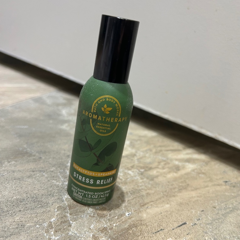 Bath and Body Works Eucalyptus Spearmint Concentrated Room Spray